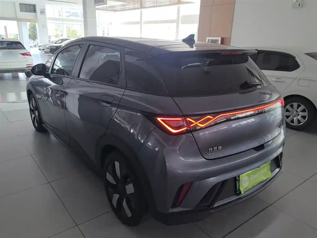 BYD Dolphin 2023 401km Knight Edition фото 23