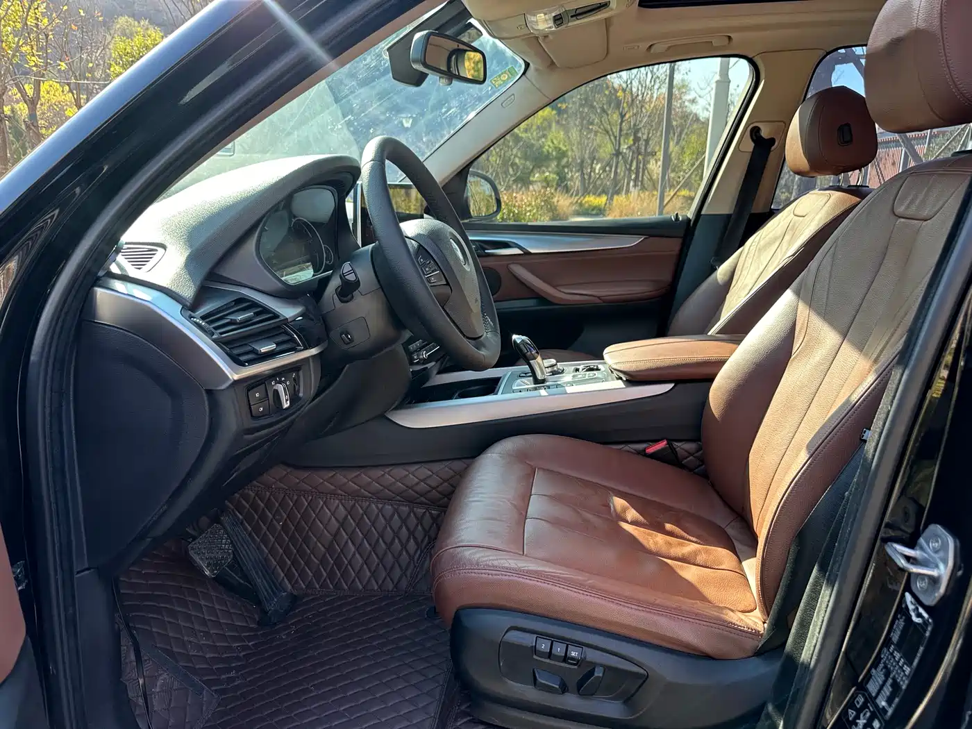 BMW X5 (Import) 2017 xDrive35i Elegance фото 4