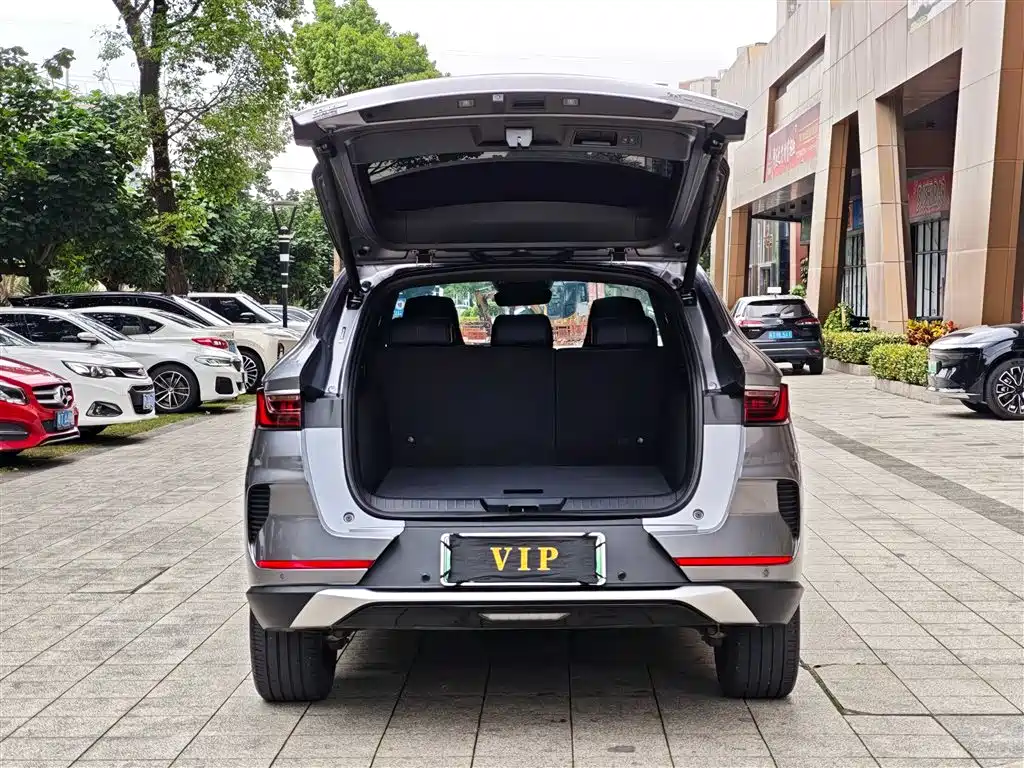 BYD Song PLUS PHEV 2021 DM-i 110KM Flagship PLUS фото 11