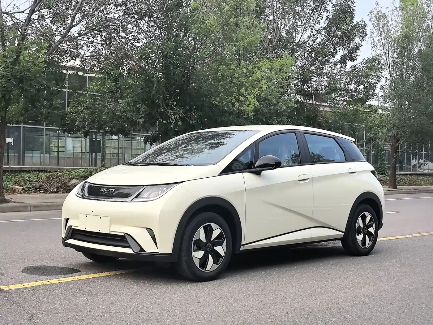 BYD Dolphin 2025 420km Freedom Edition