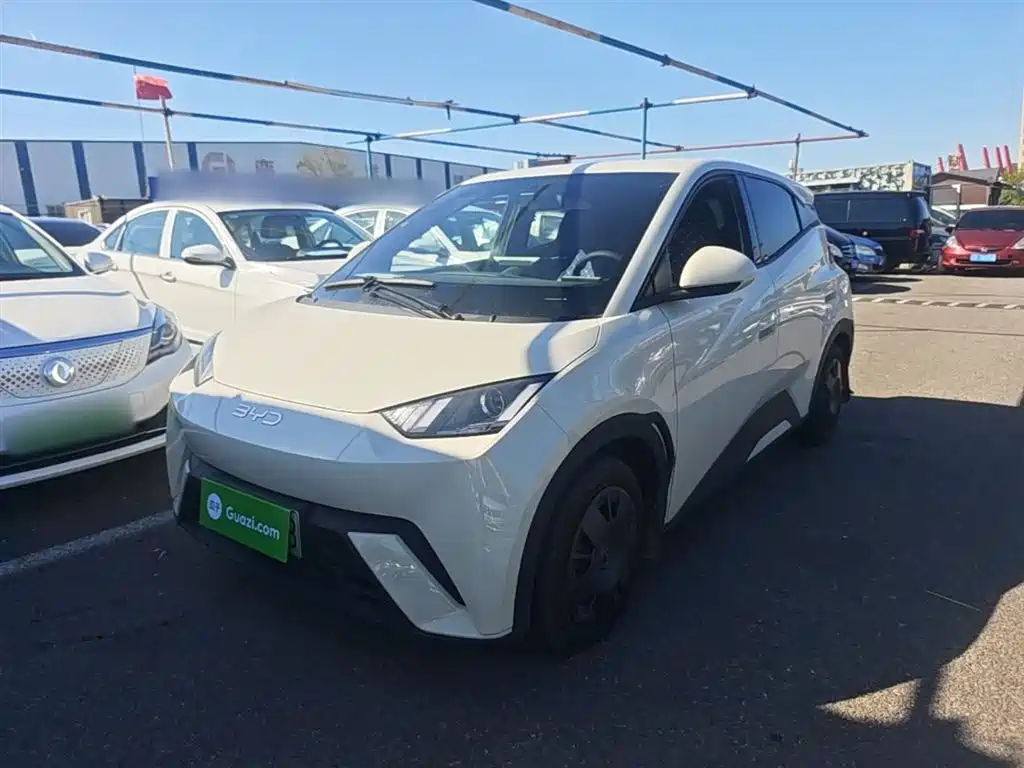 BYD Seagull 2024 Glory Edition 305km Vitality Edition