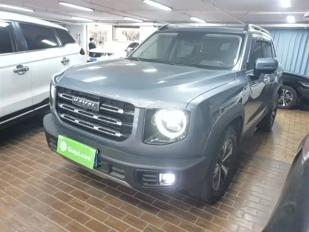 Haval Big Dog 2021 1.5T DCT 2WD Labrador Edition