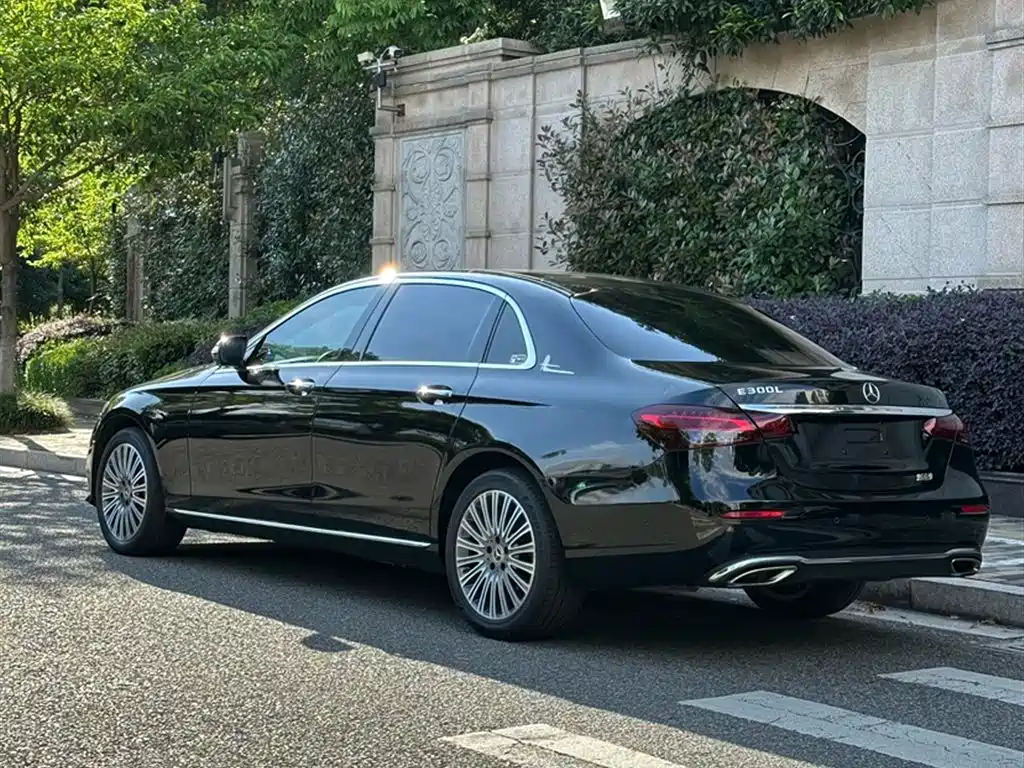 Mercedes-Benz E-Class 2020 E 300 L Fashion фото 11