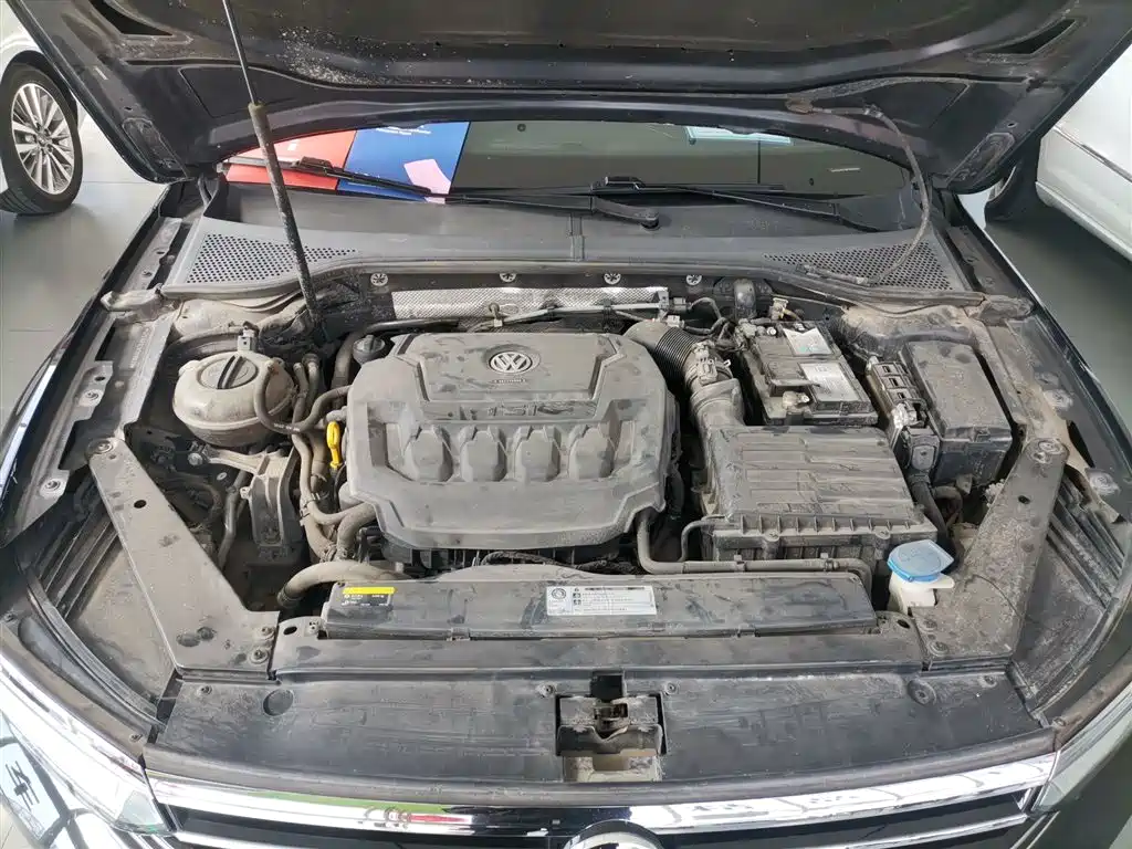 Volkswagen Magotan 2019 330TSI DSG Luxury Class China VI фото 16