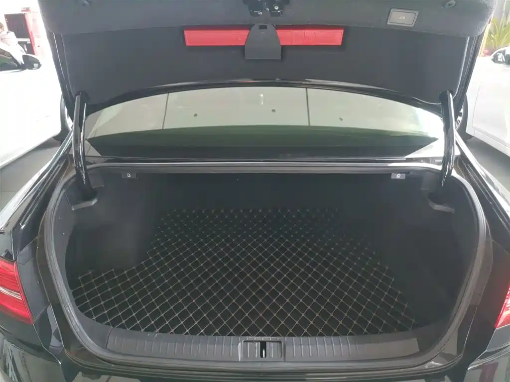 Volkswagen Magotan 2019 330TSI DSG Luxury Class China VI фото 15