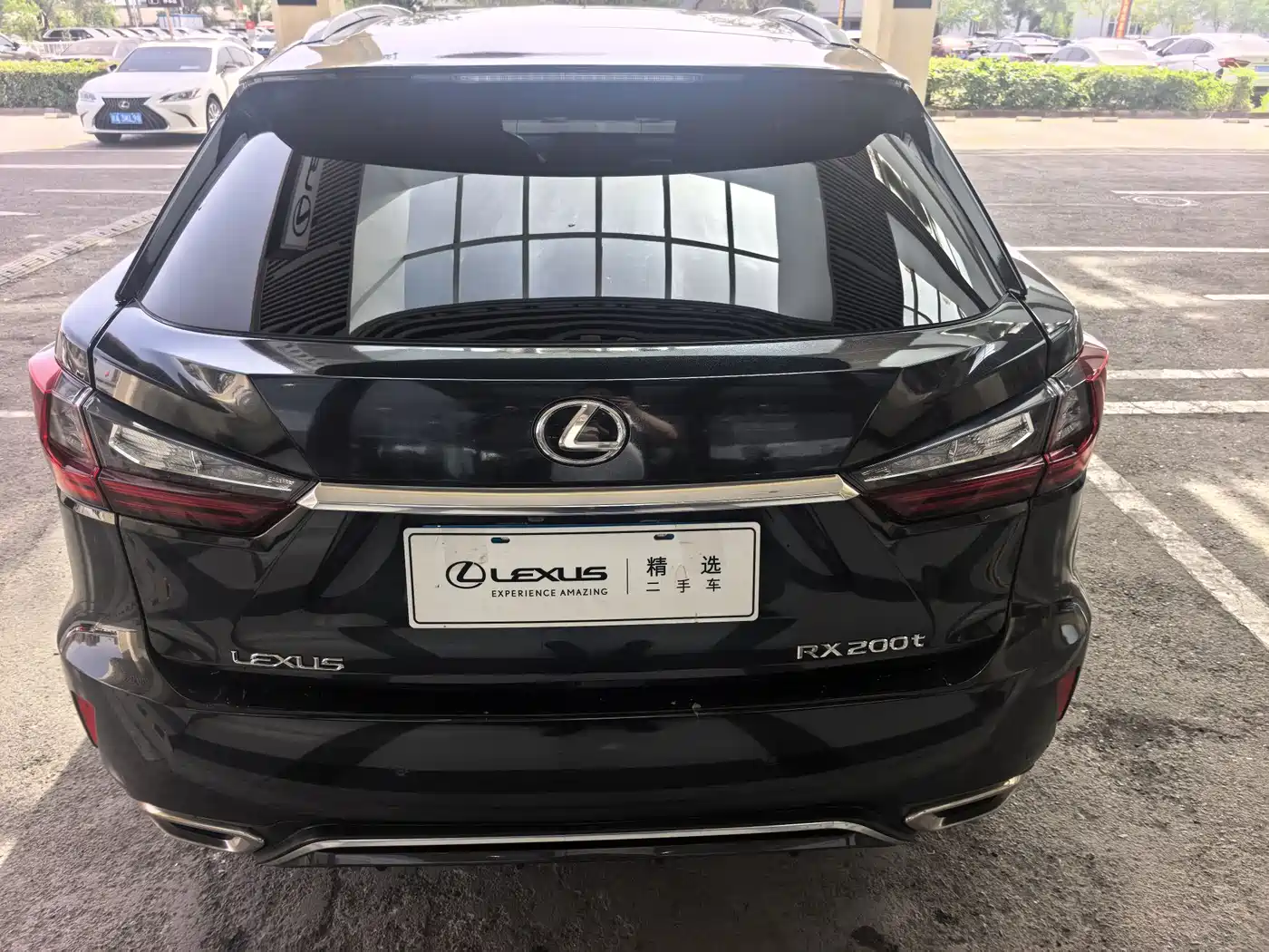Lexus RX 2016 300 AWD F SPORT Edition China V фото 10