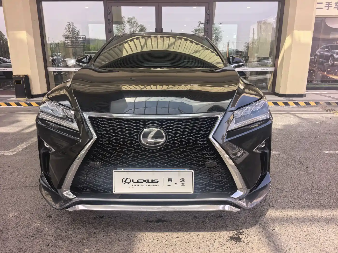 Lexus RX 2016 300 AWD F SPORT Edition China V