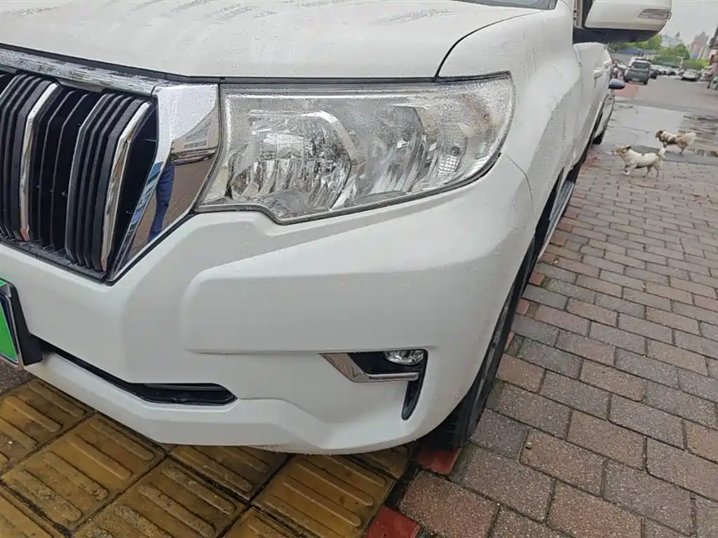 Toyota Prado 2018 3.5L Auto TX фото 24