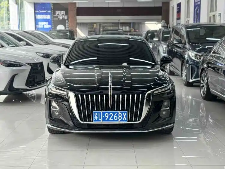 Hongqi H5 2023 1.5T DCT Smart Connect Flag Rhythm фото 2