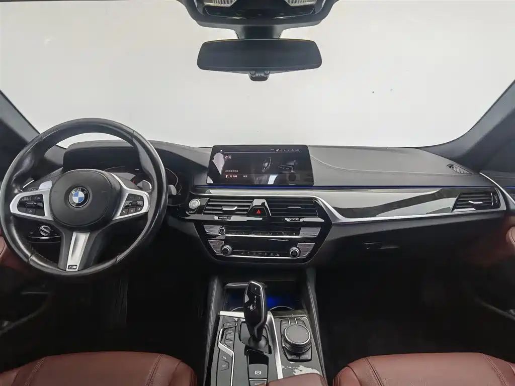 BMW 5 Series 2020 530Li Leading M Sport Package фото 5