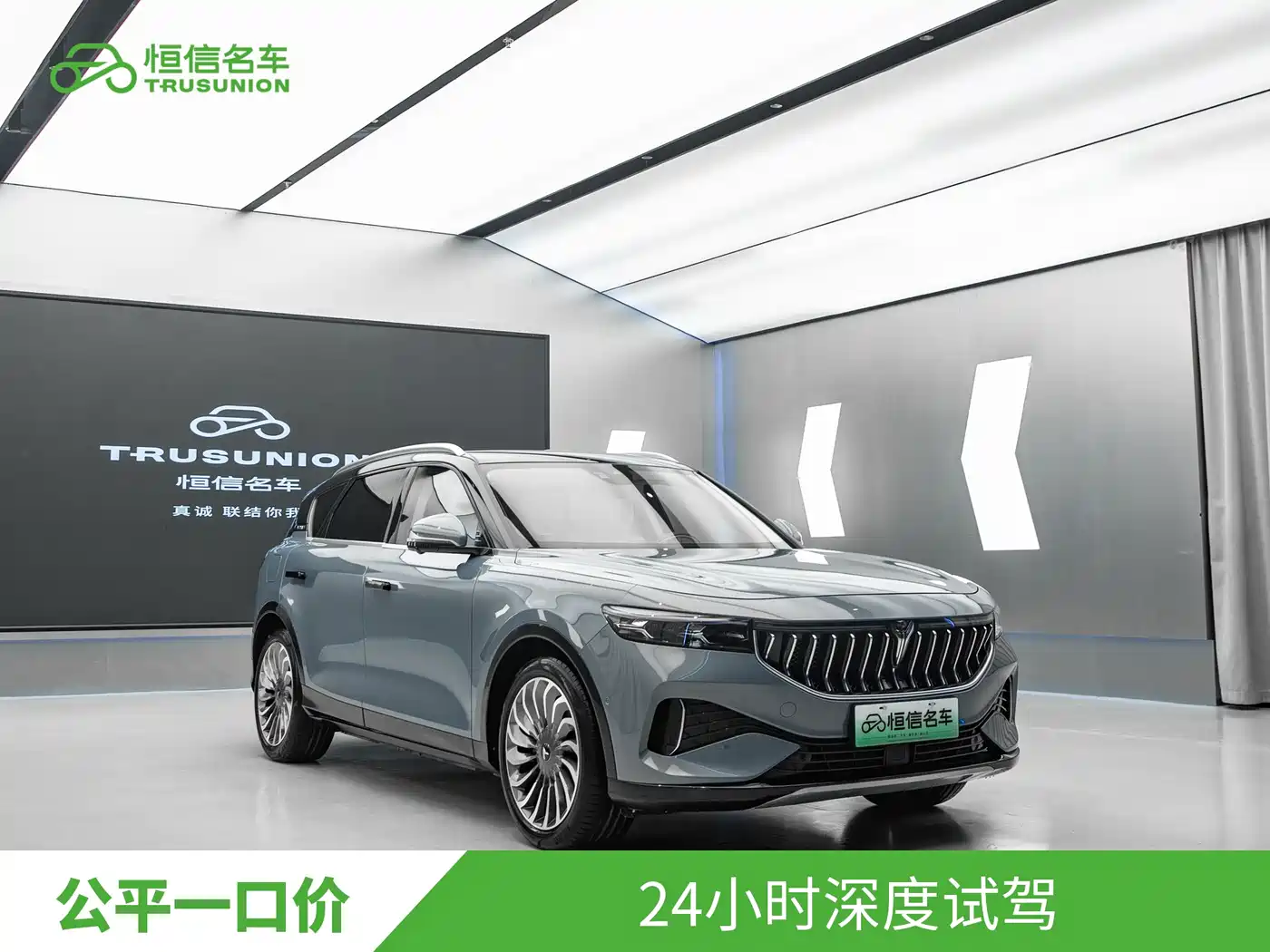 Voyah Auto VOYAH FREE 2021 4WD Extended Range Launch Edition Exclusive Luxury Package фото 3