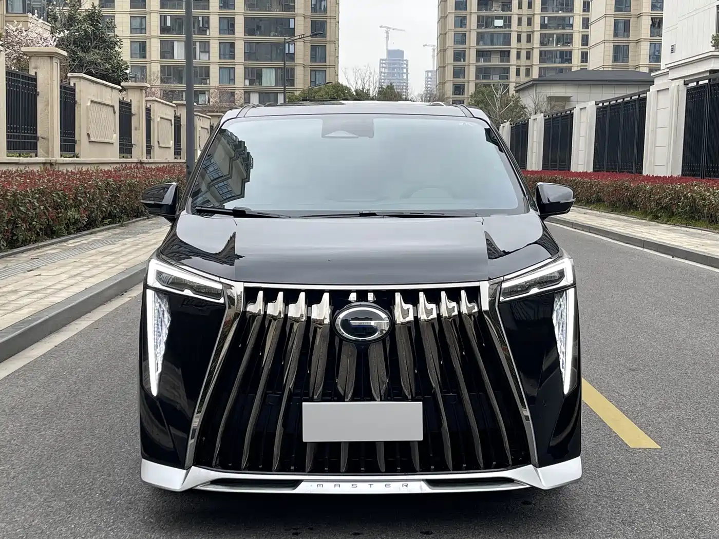 GAC Trumpchi Trumpchi M8 2023 Model Master Series Hybrid Royal Edition фото 2