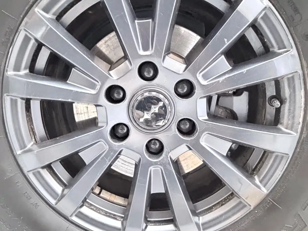 FANG CHENG BAO LEOPARD 5