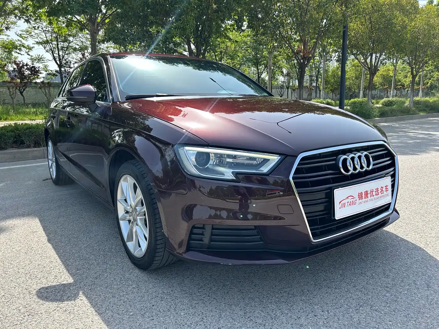 Audi A3 2018 30th Anniversary Sportback 35 TFSI Progressive фото 3