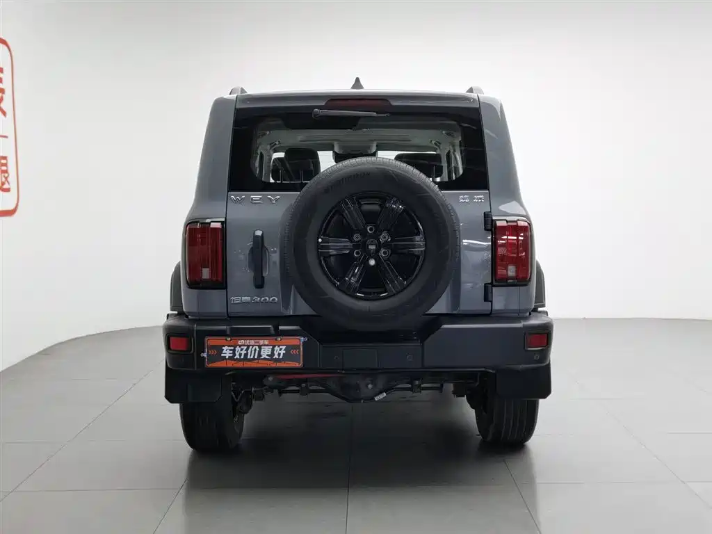 Tank 300 2021 Off-road Version 2.0T Conqueror фото 4