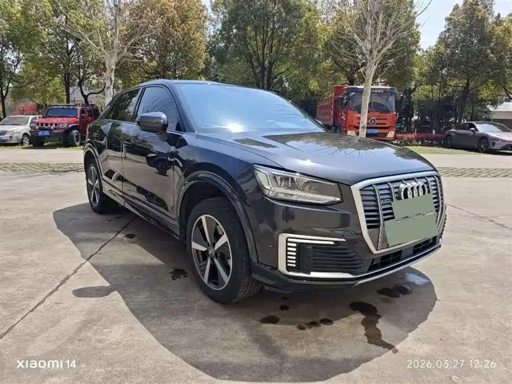 Audi Q2L e-tron 2021 2019 Q2L e-tron Pure Electric Smart Enjoyment