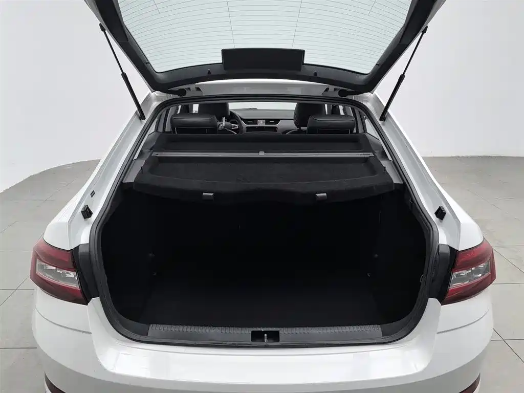 Škoda Octavia 2019 1.5L Automatic Smart Luxury China VI фото 16