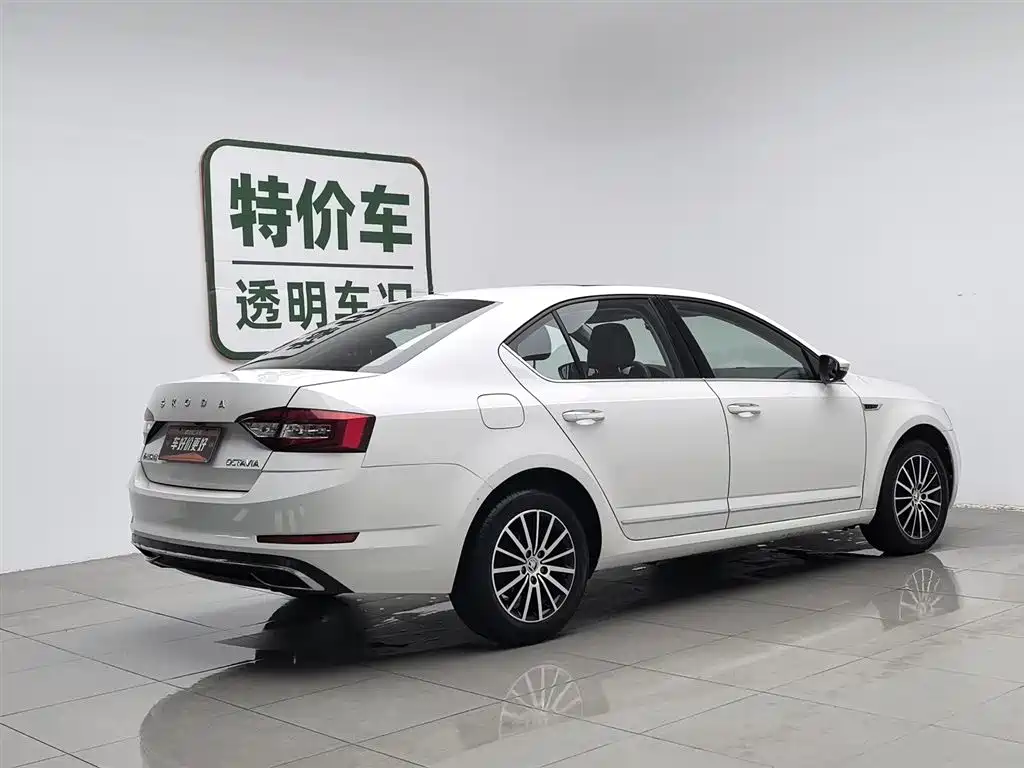 Škoda Octavia 2019 1.5L Automatic Smart Luxury China VI фото 2