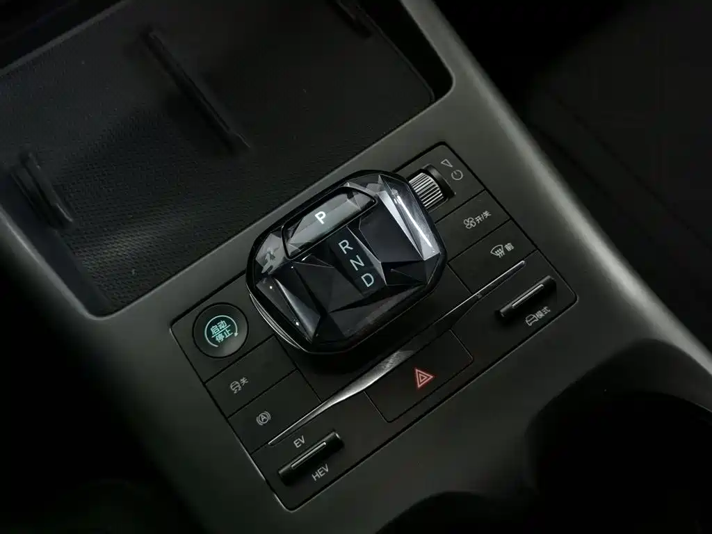 BYD Qin PLUS 2025 DM-i Smart Drive 55KM Leader фото 13