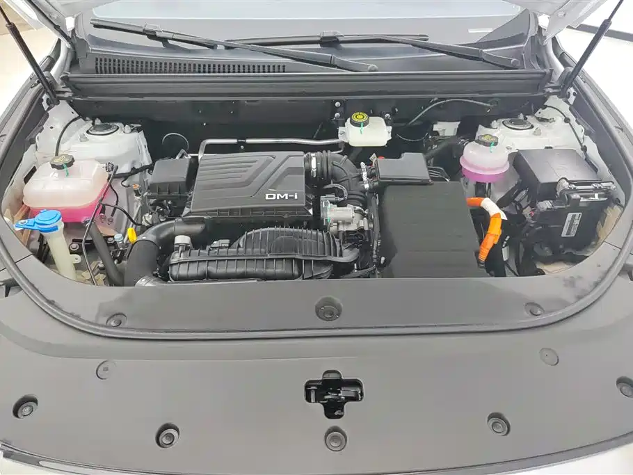 BYD Song Pro New Energy 2024 Glory Edition DM-i 71KM Pilot фото 10