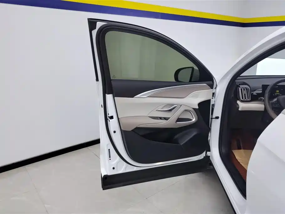 BYD Song Pro New Energy 2024 Glory Edition DM-i 71KM Pilot фото 7
