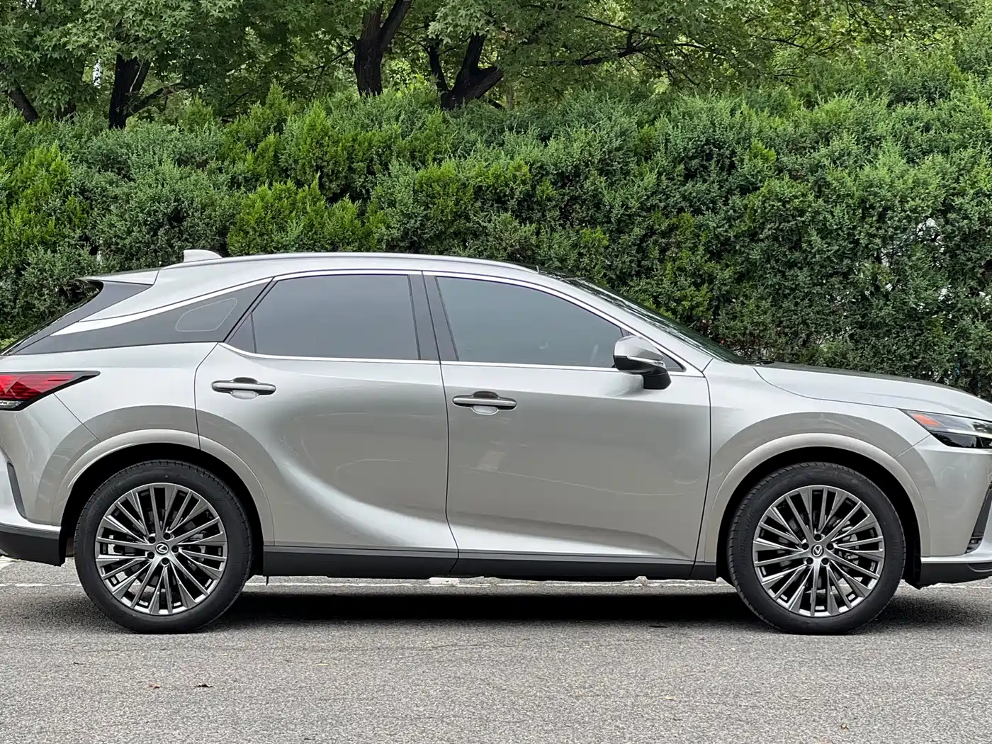 2025 Lexus RX