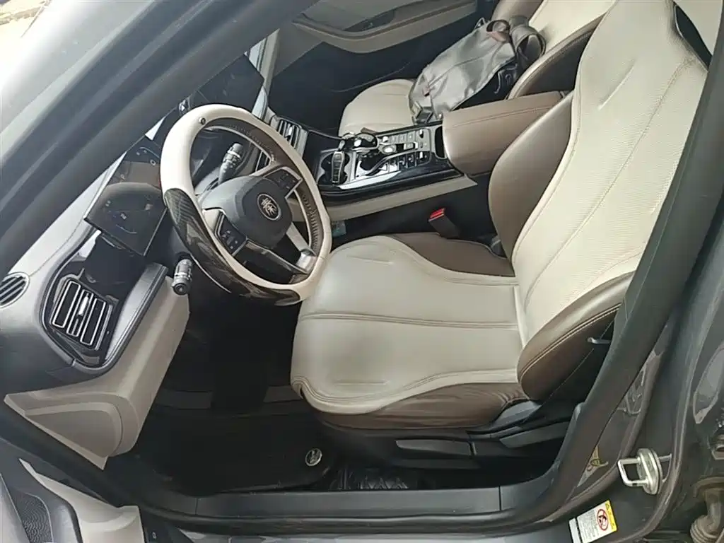 BYD Qin PLUS 2023 Champion Edition DM-i 55KM Leading фото 15