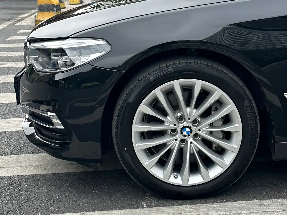 BMW 5 Series 2020 530Li Leading Luxury Package фото 4