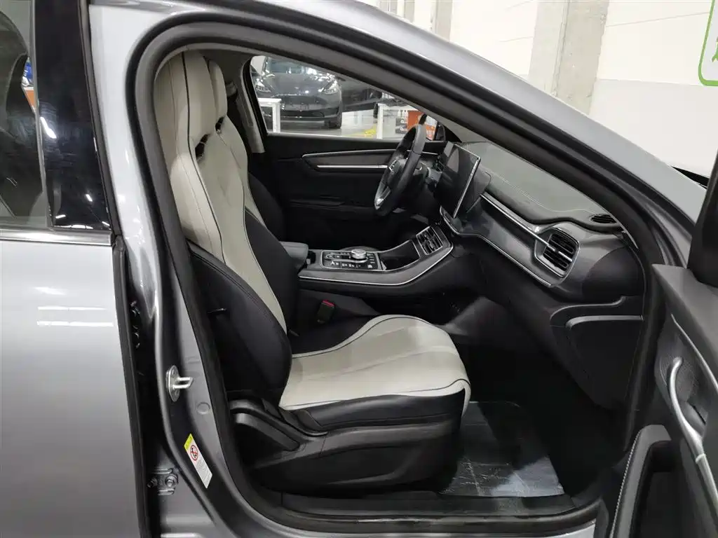 BYD Destroyer 05 2024 Glory Edition DM-i 55KM Luxury фото 23