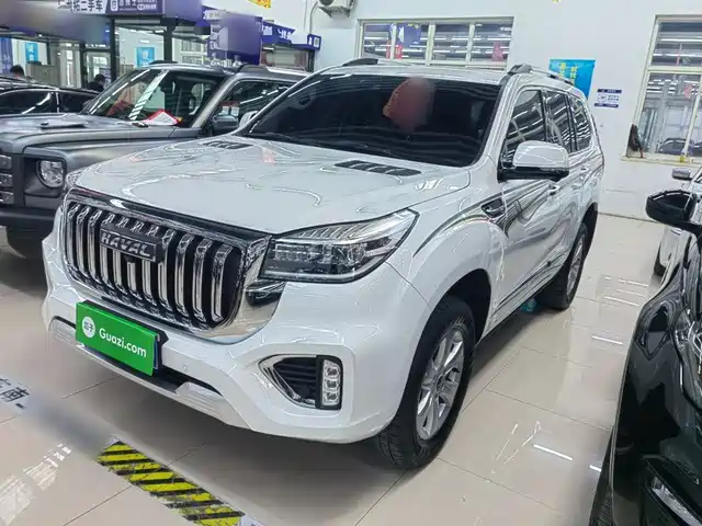 Haval H9 2022 2.0T Gasoline 4WD Premium 5-seater
