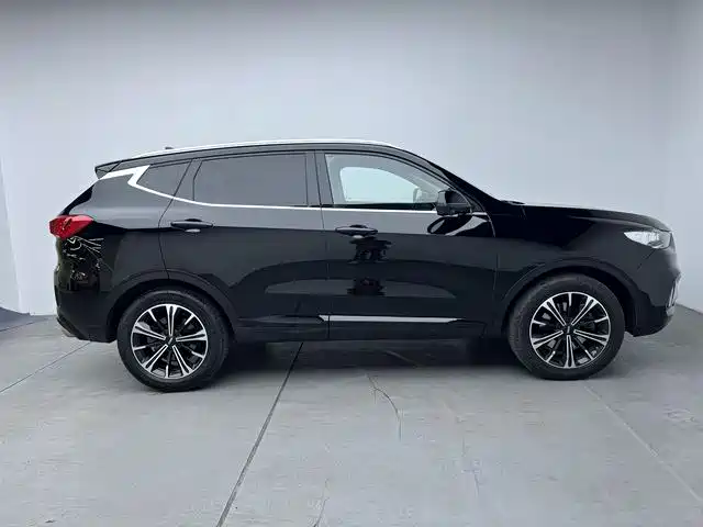 WEI PAI WEI BRAND VV6