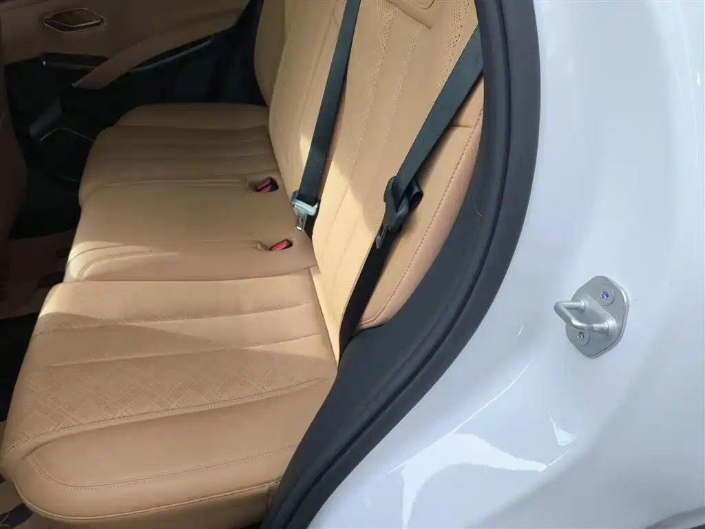 BYD Song L DM-i 2024 112km Leading Edition фото 17