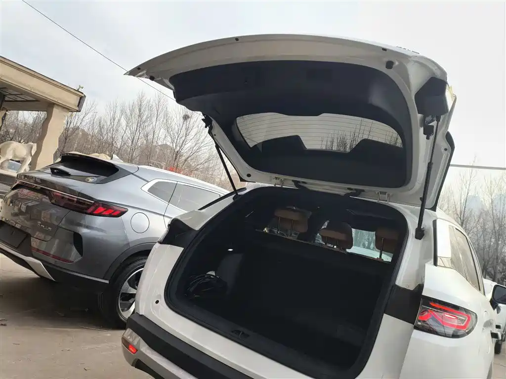 BYD Song L DM-i 2024 112km Leading Edition фото 19