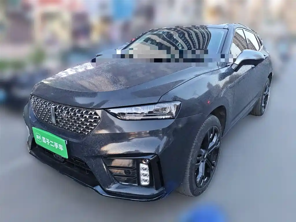 2021 WEY VV7