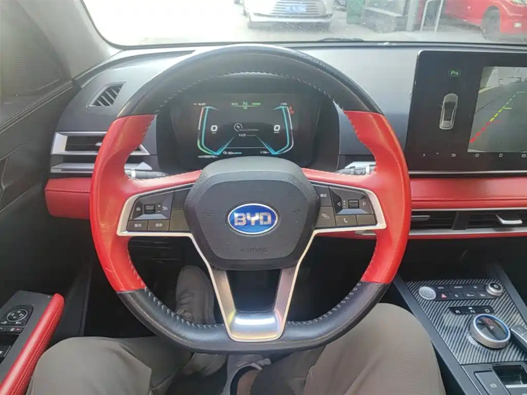 BYD e2 2020 Upgraded Long Range Luxury фото 11
