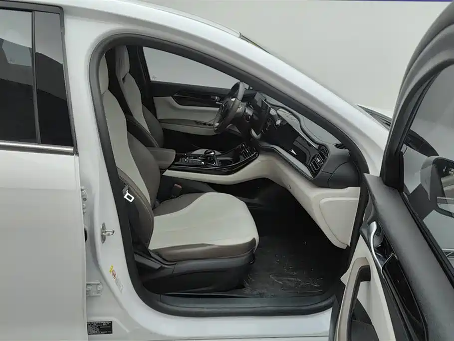 BYD Qin PLUS 2023 Champion Edition DM-i 55KM Leading фото 8