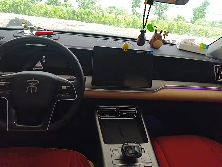 BYD Song Pro New Energy 2024 Glory Edition DM-i 110KM Surpassing фото 13