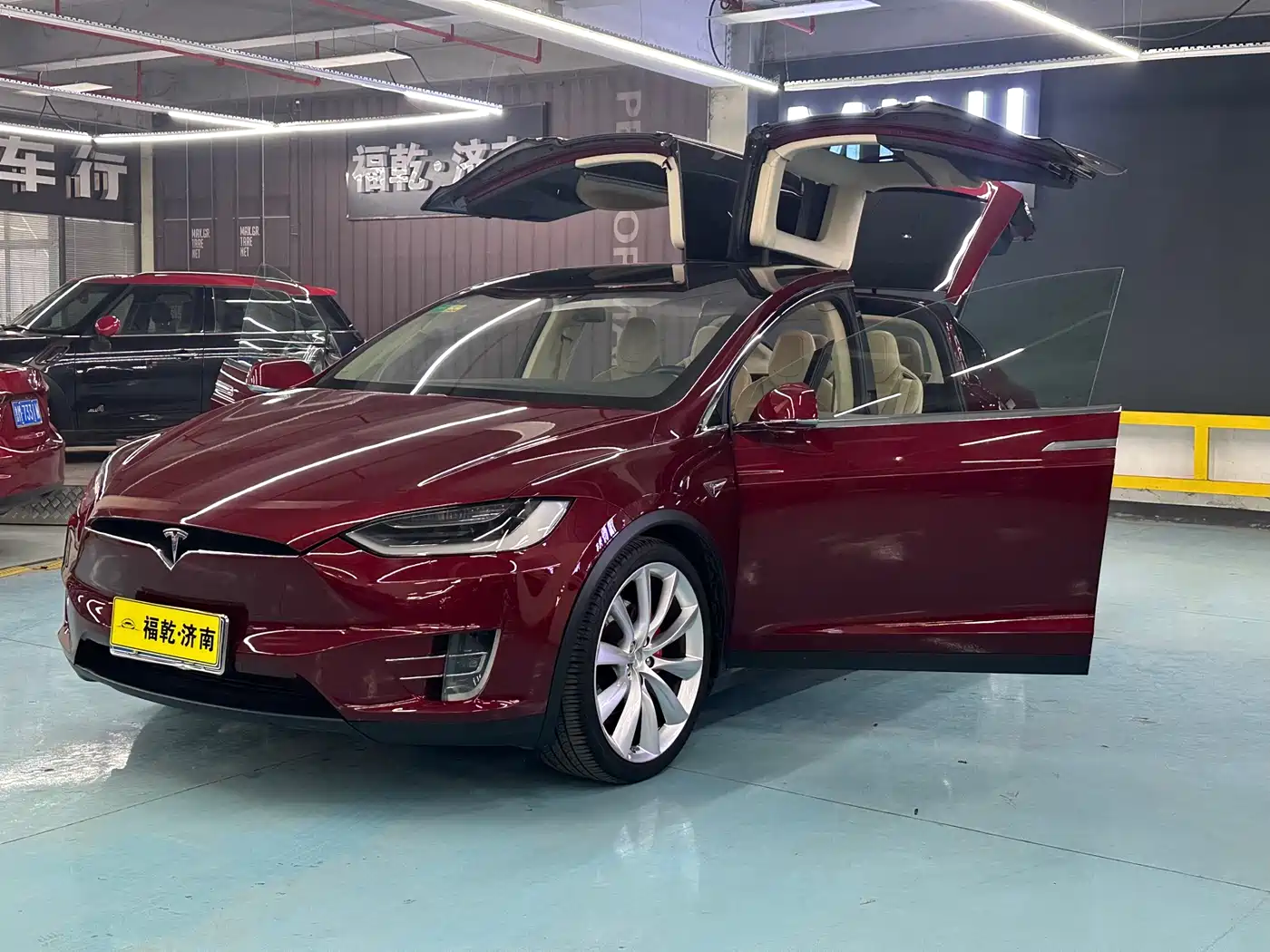 TESLA MODEL X