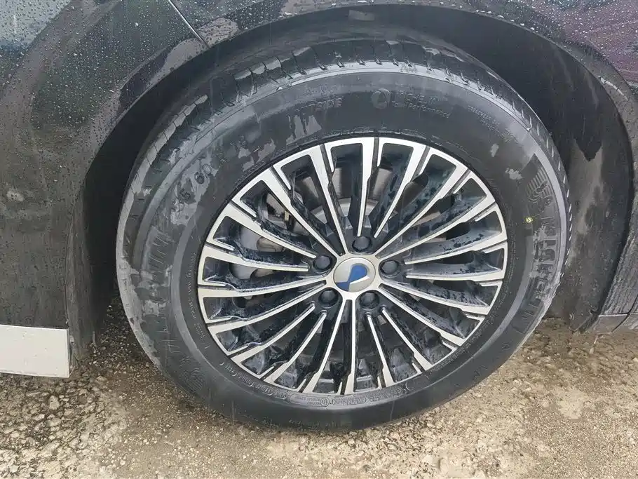 Denza D9 2022 DM-i 970 All-Wheel Drive Honor Edition фото 6