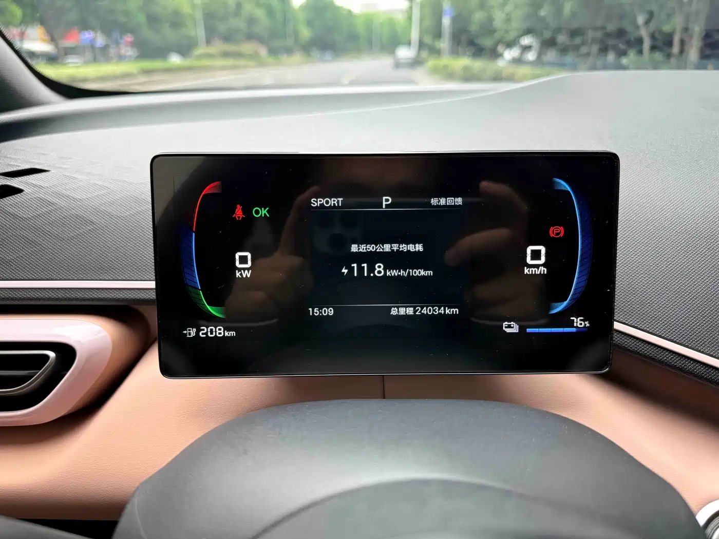 BYD Seagull 2024 Glory Edition 305km Vitality Edition фото 17
