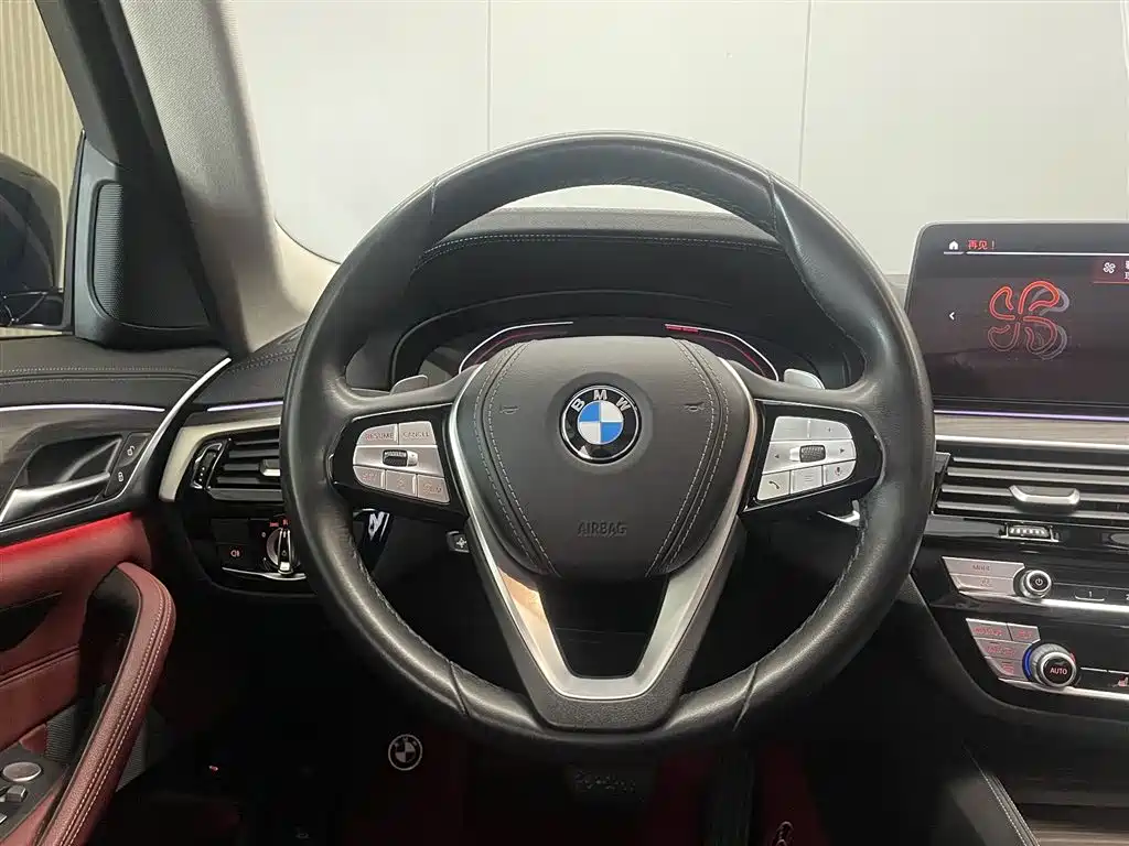 BMW 5 Series 2021 530Li xDrive Luxury Package фото 13