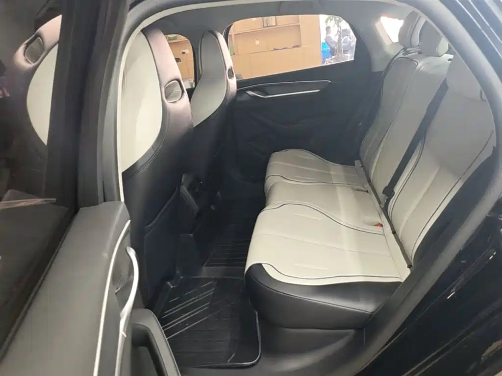 BYD Destroyer 05 2024 Glory Edition DM-i 55KM Luxury фото 17