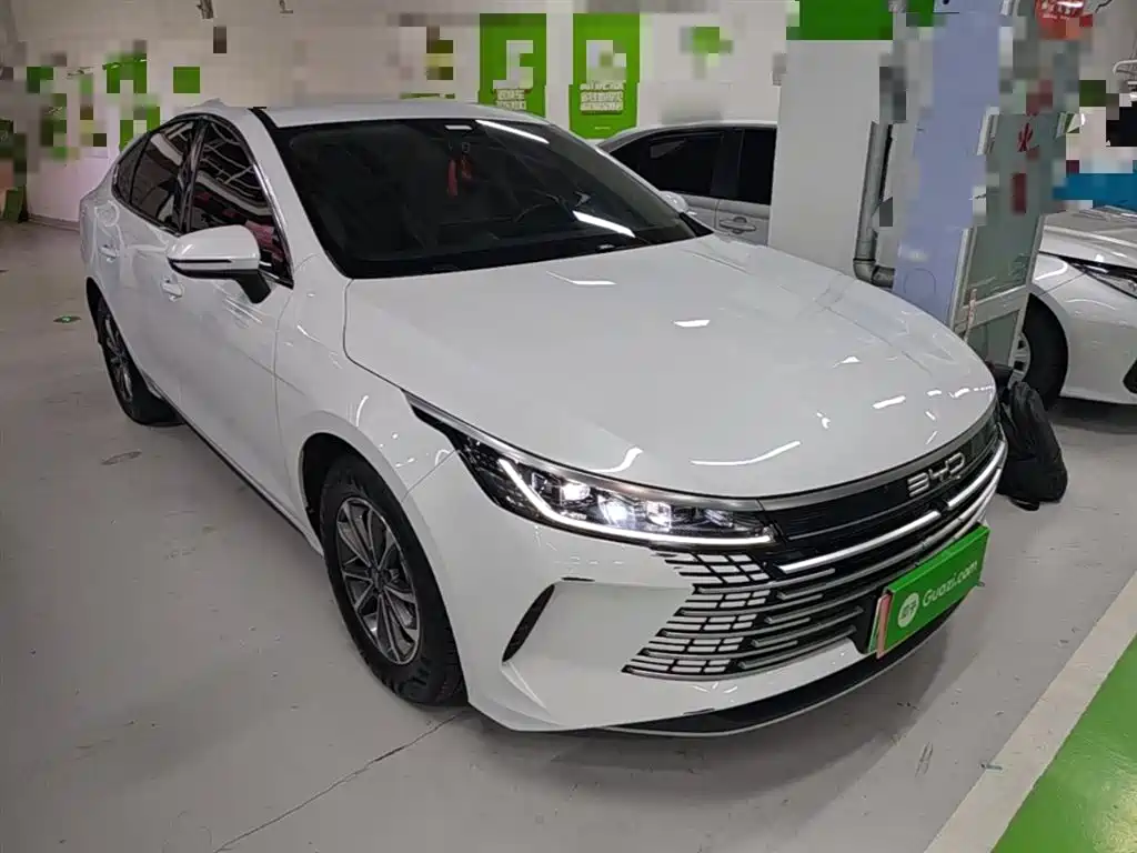BYD Destroyer 05 2024 Glory Edition DM-i 55KM Luxury фото 4