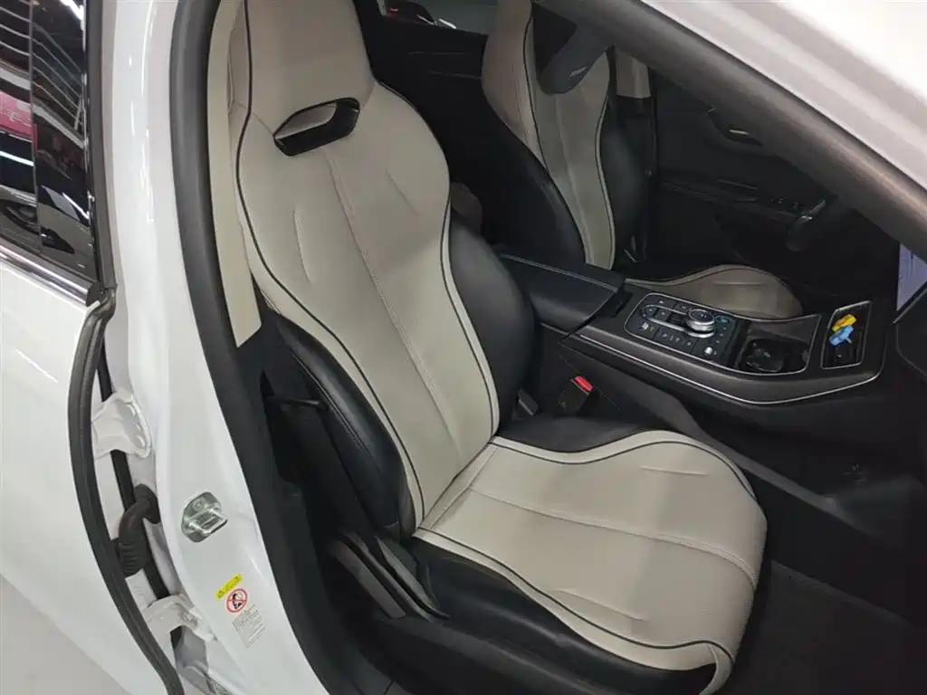 BYD Destroyer 05 2024 Glory Edition DM-i 55KM Luxury фото 25