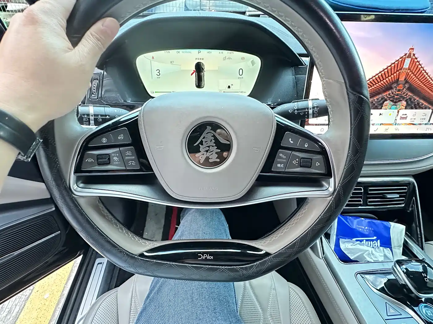 BYD Tang New Energy 2023 Model DM-i Champion Edition 112KM Deluxe фото 13