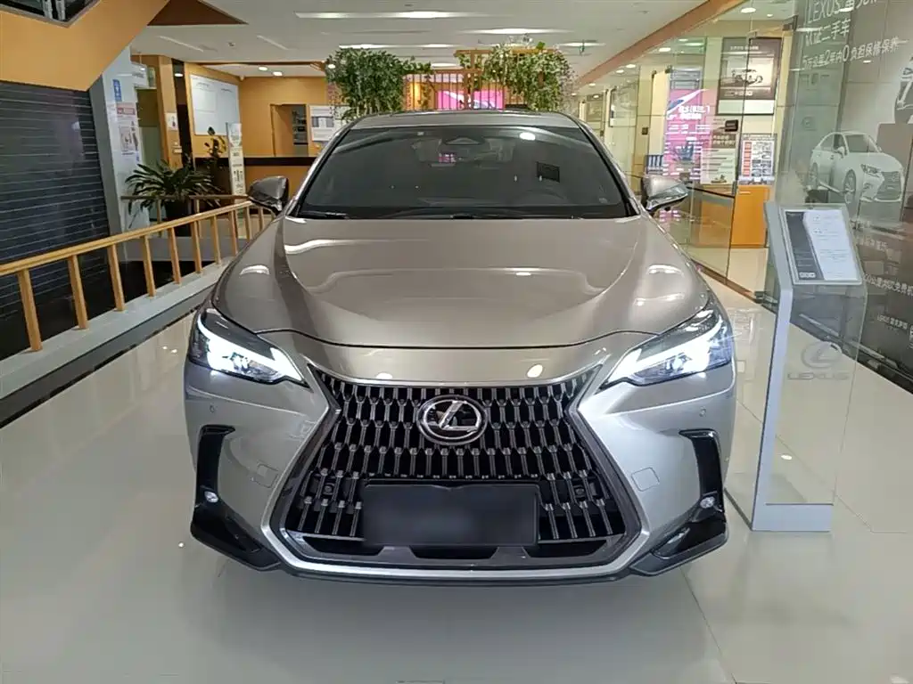 Lexus NX 2024 260 FWD Joy Creation Edition фото 3