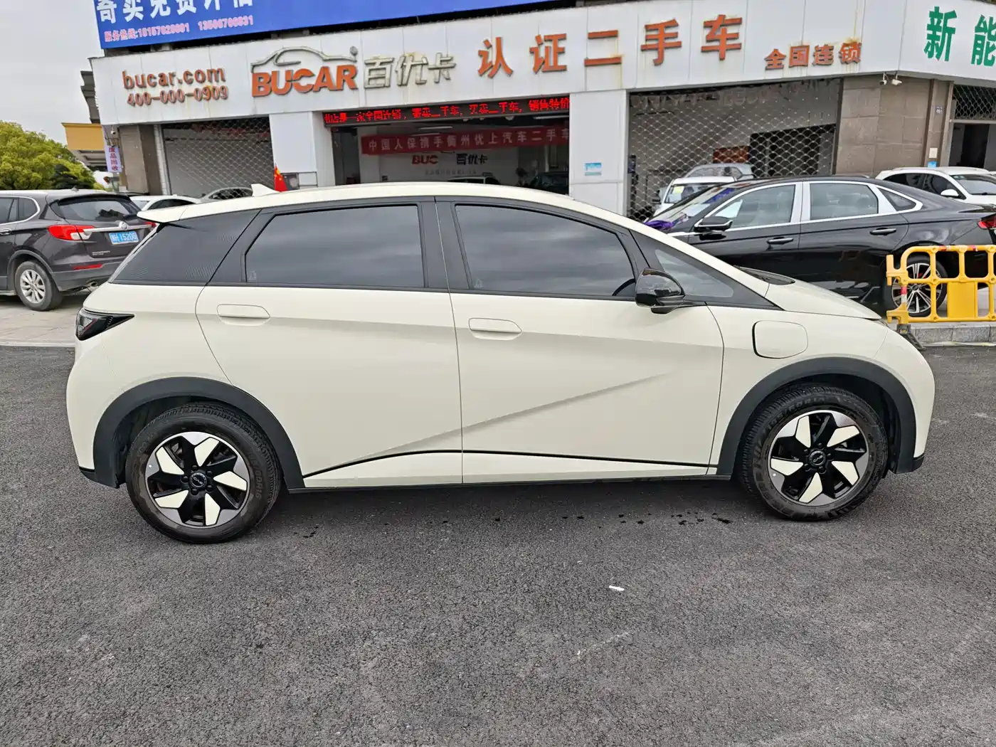 BYD DOLPHIN