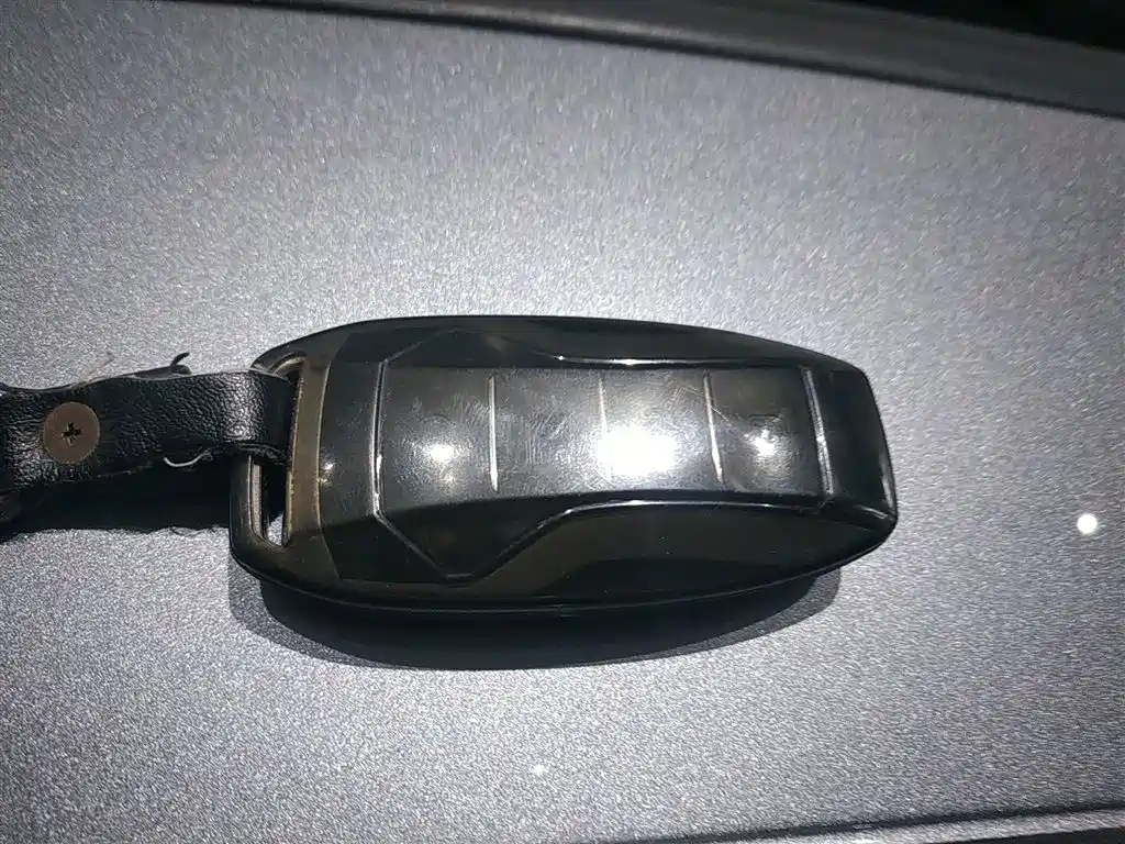 BYD Han 2020 DM AWD Performance Luxury Edition фото 17