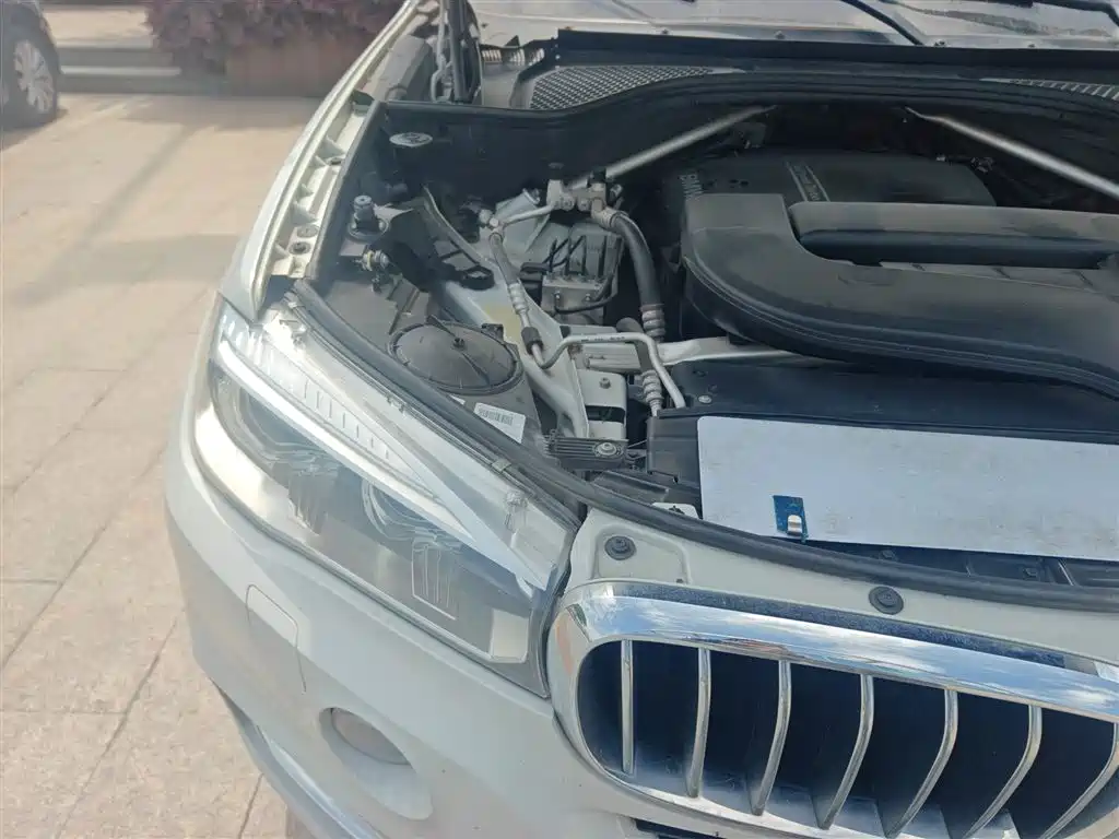 BMW X5 (Import) 2018 xDrive28i фото 22