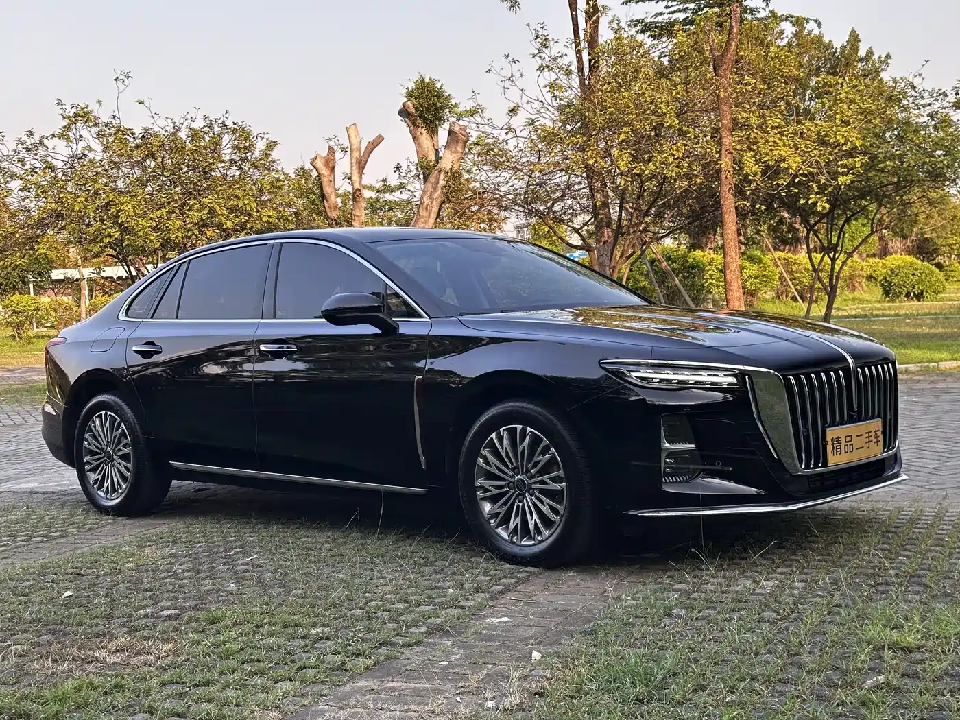 Hongqi H5 2025 1.5T DCT Flag Rhythm 500,000 Units Memorial Edition фото 3
